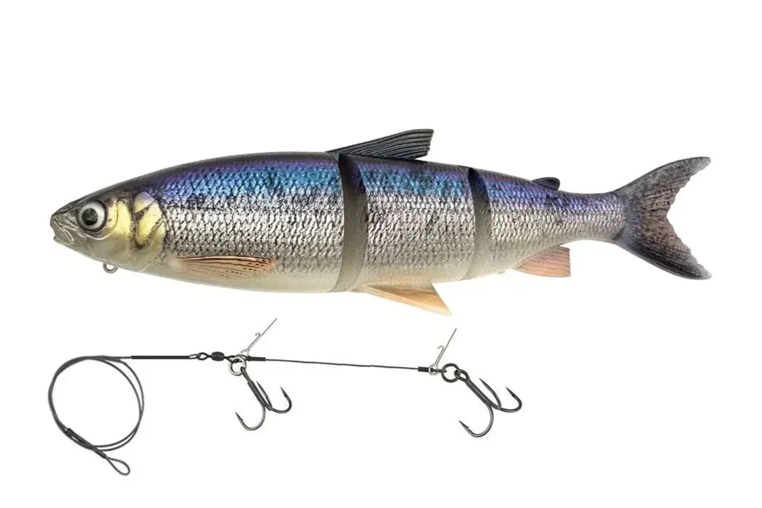 charliesfishing408202