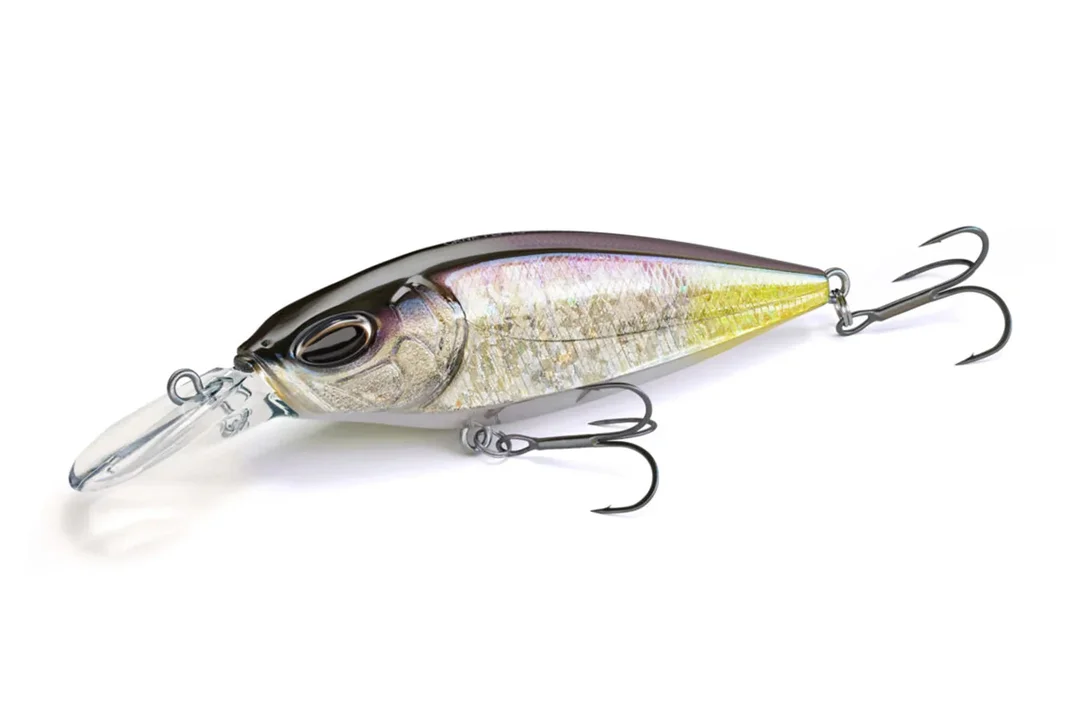 charliesfishing408609