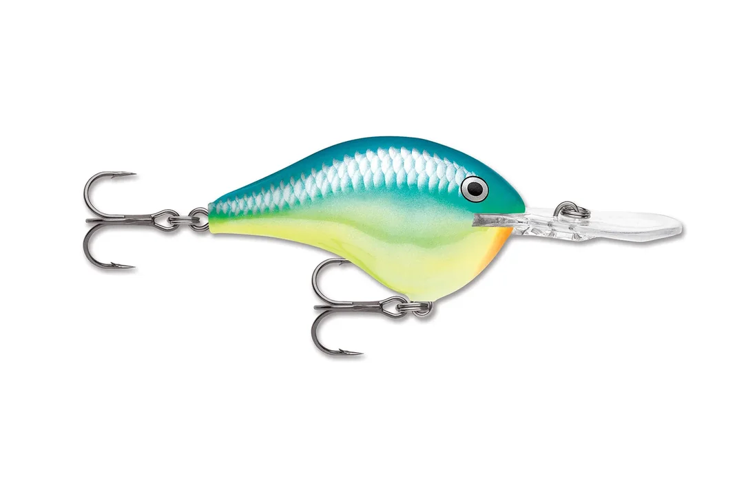 charliesfishing409359