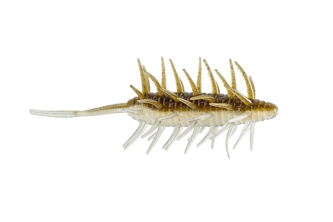 charliesfishing409517