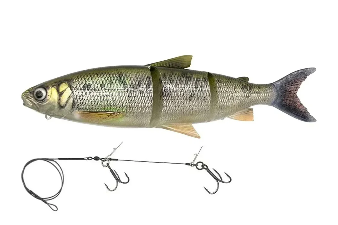 charliesfishing409552