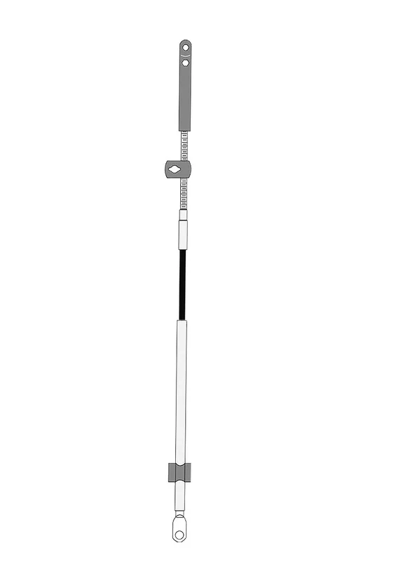 compass24435039