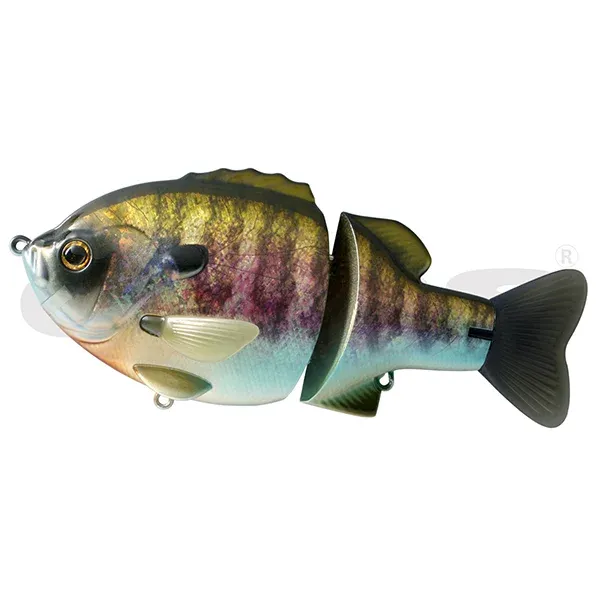 franz-geht-fischen372050