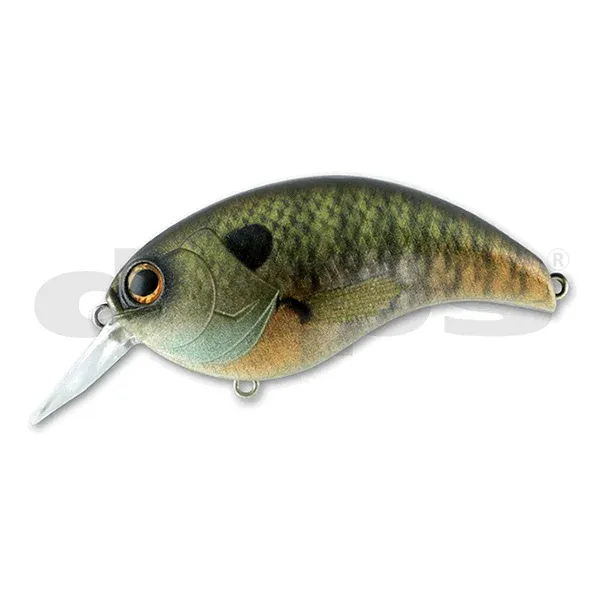 franz-geht-fischen376147