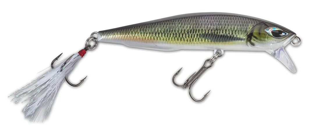 funfish384751