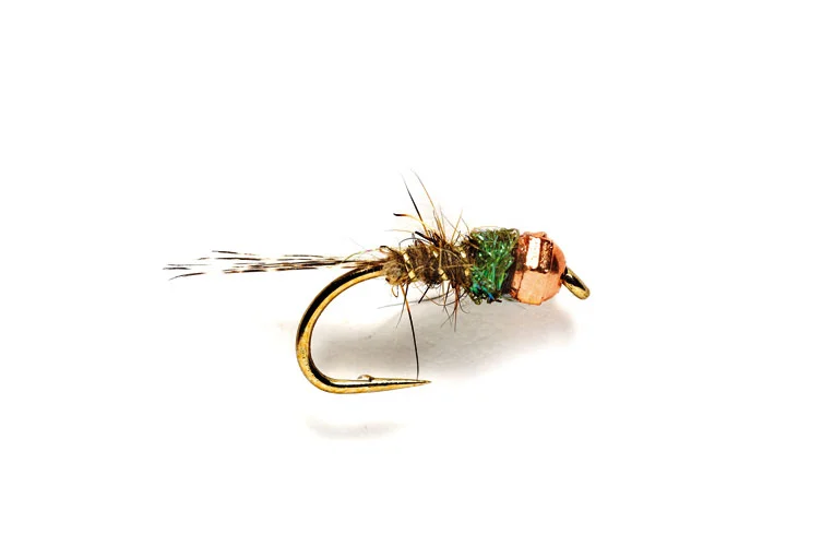 funfish403273