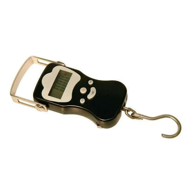 hauptner-jagd363144