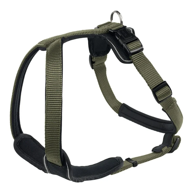 hauptner-jagd383406
