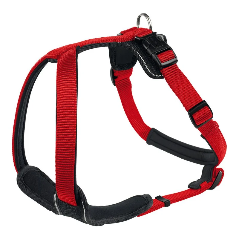 hauptner-jagd383519