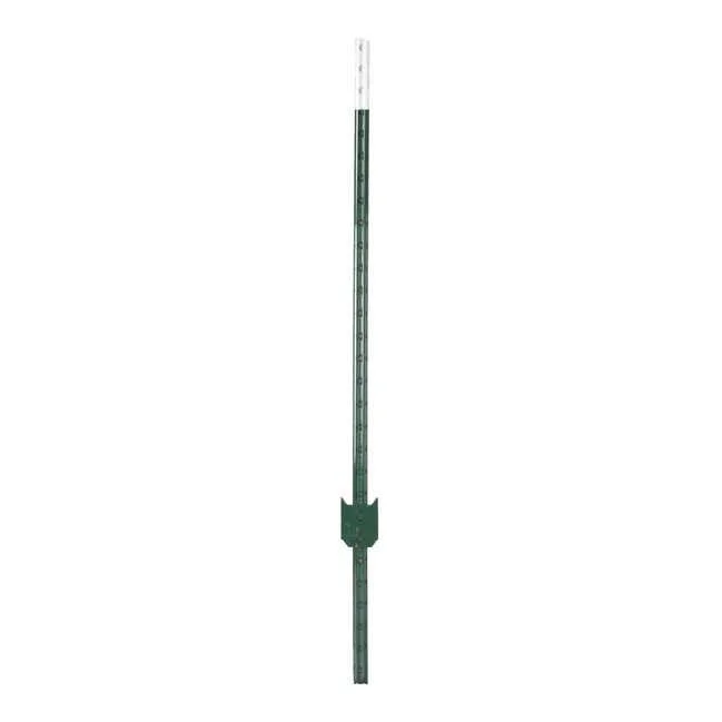 hauptner-jagd387835