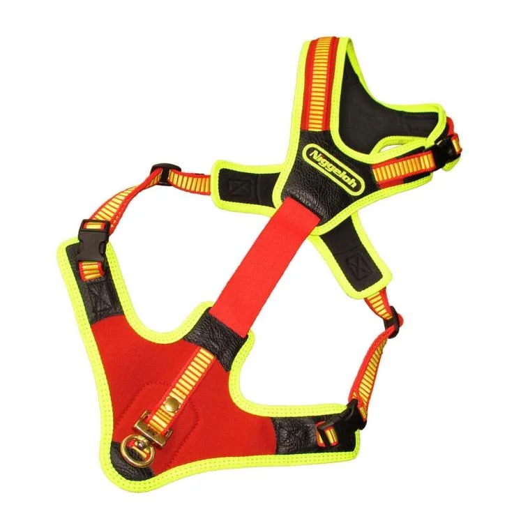 hauptner-jagd393442