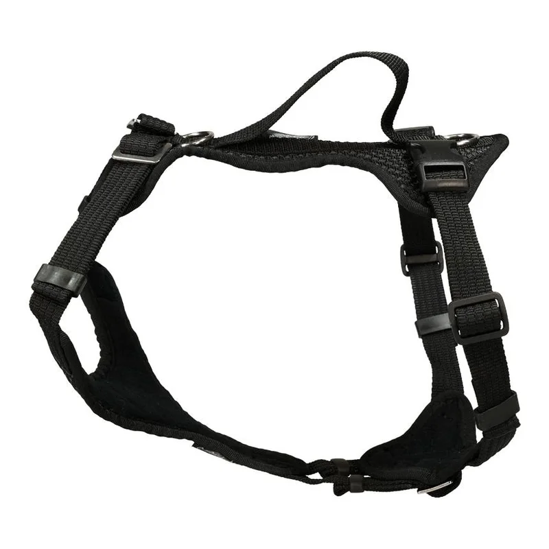 hauptner-jagd396268