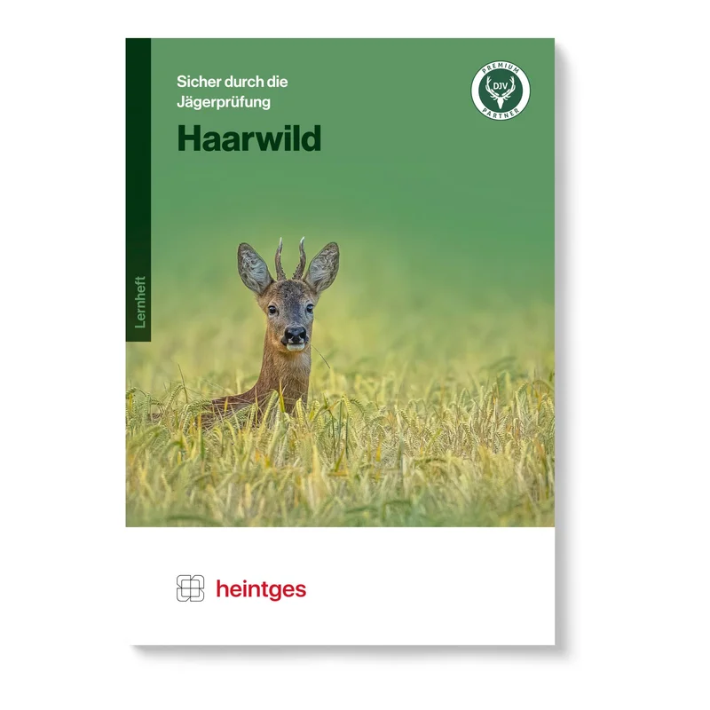 hauptner-jagd405283