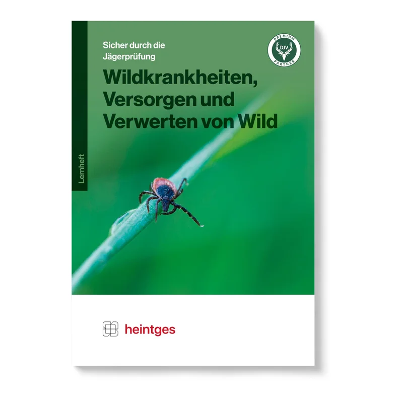 hauptner-jagd405369