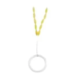 hauptner-jagd411038