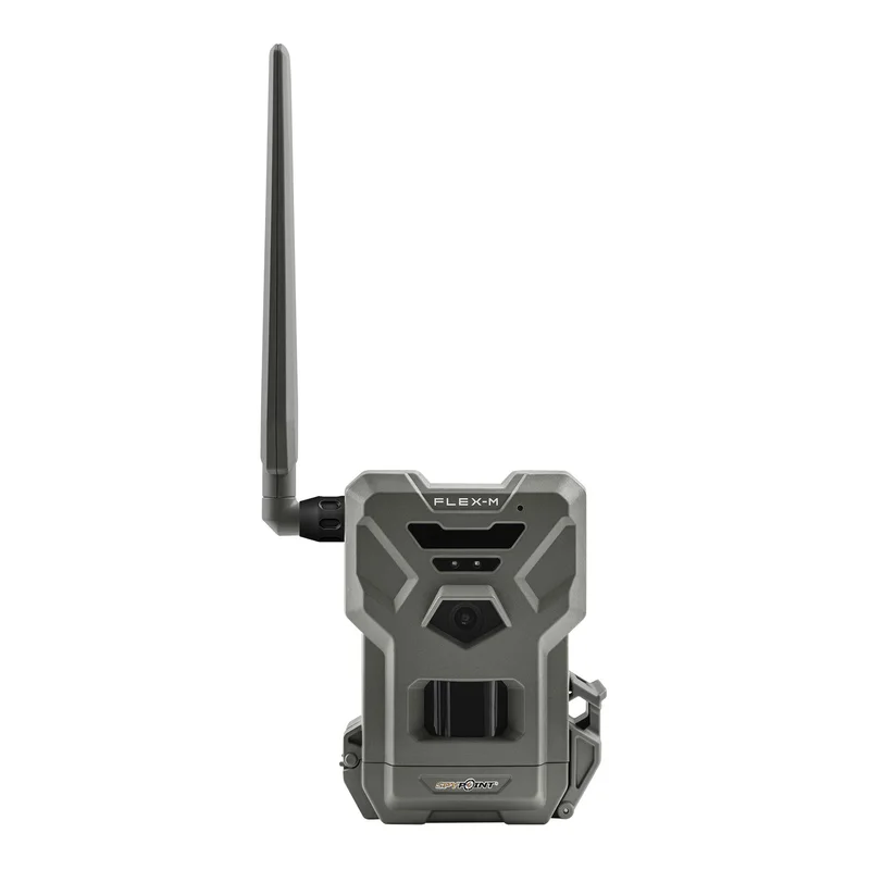 hauptner-jagd424204
