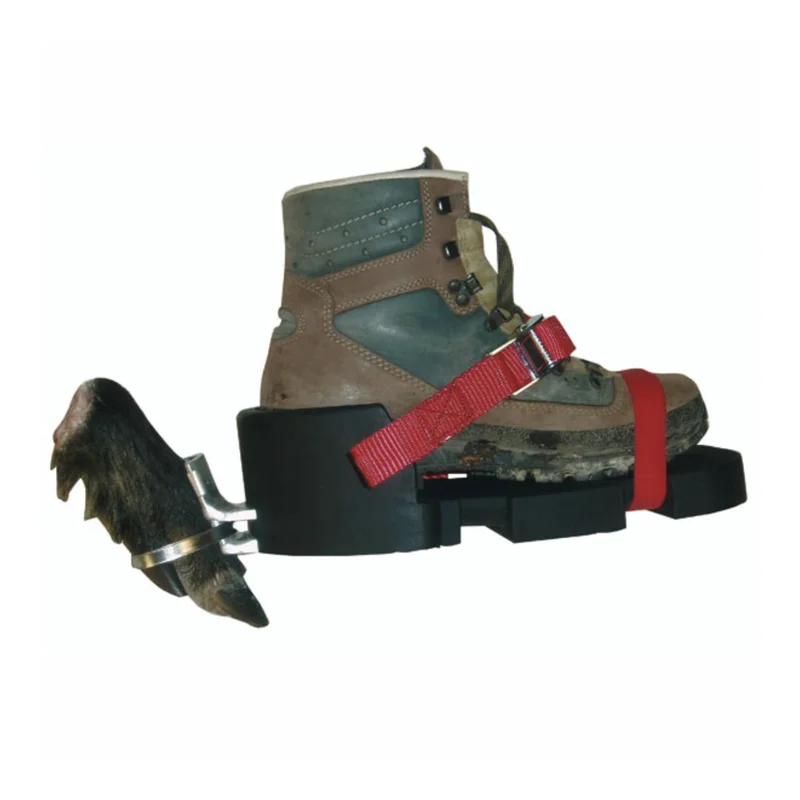 hauptner-jagd424675