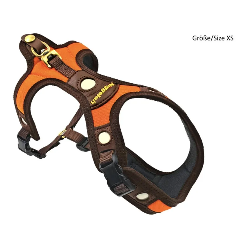 hauptner-jagd434867