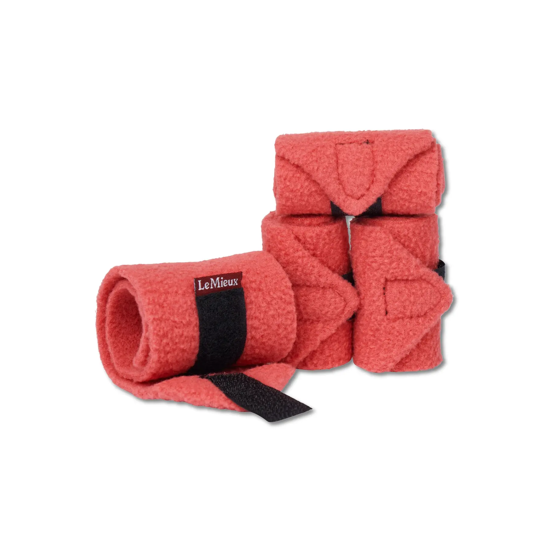 sportisgood1338017