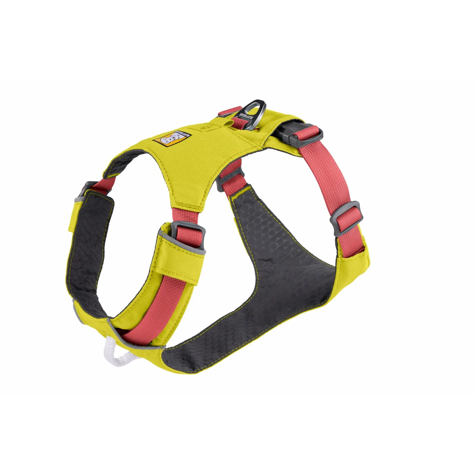 sportisgood1815783