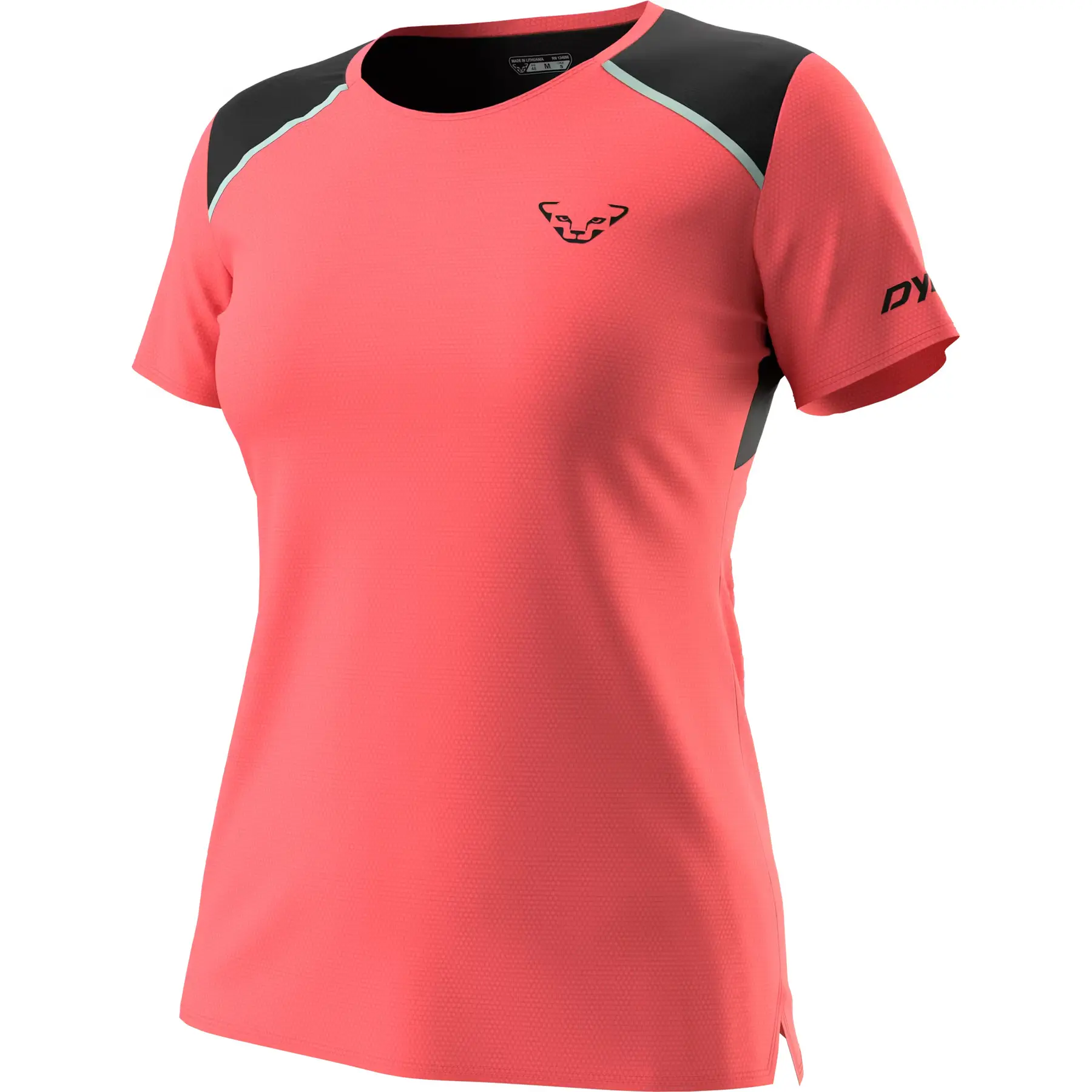 sportisgood2256949