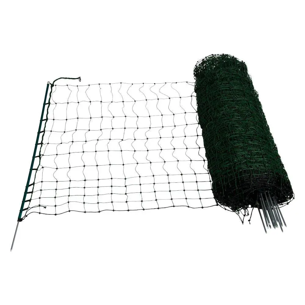 sportisgood2383088