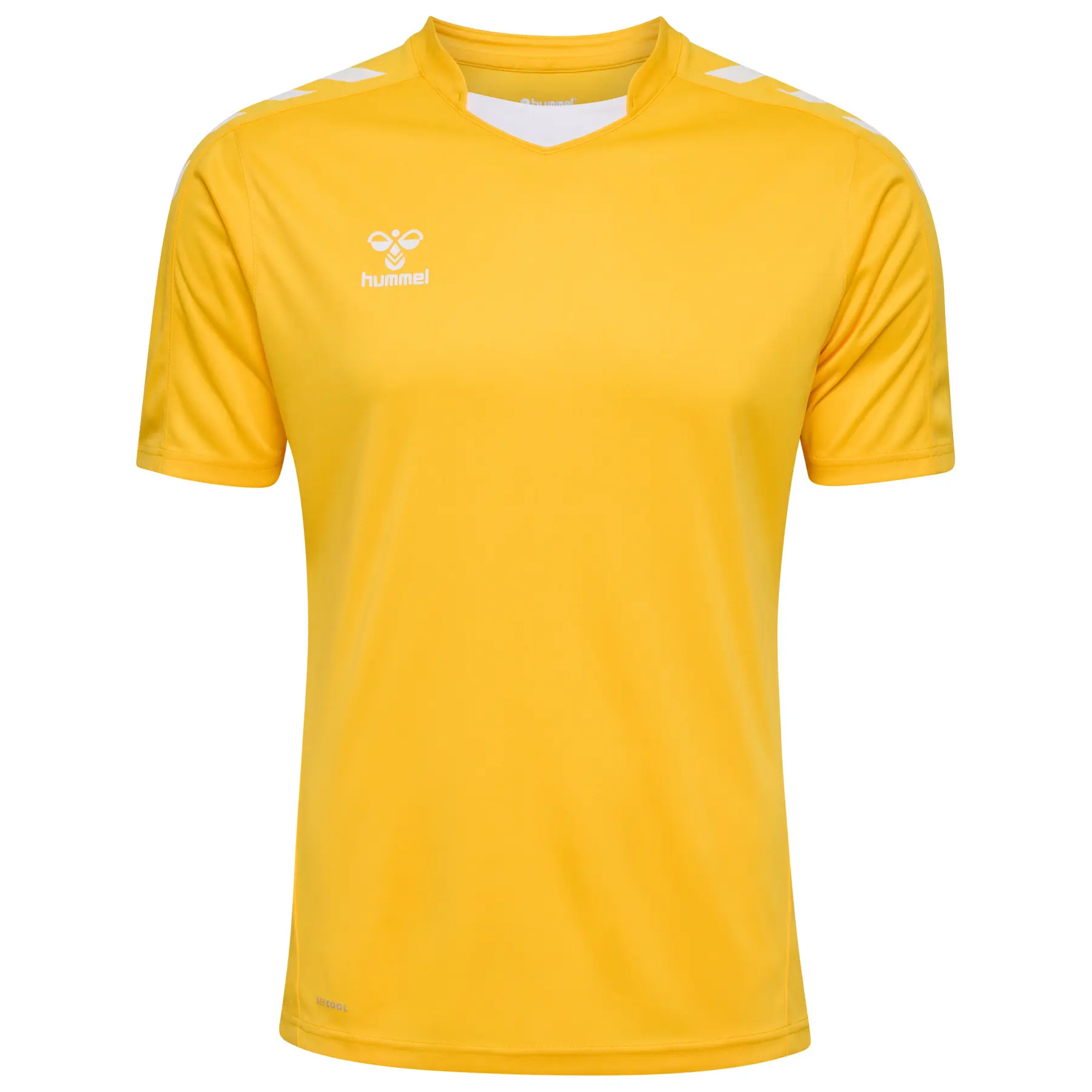 sportisgood455541