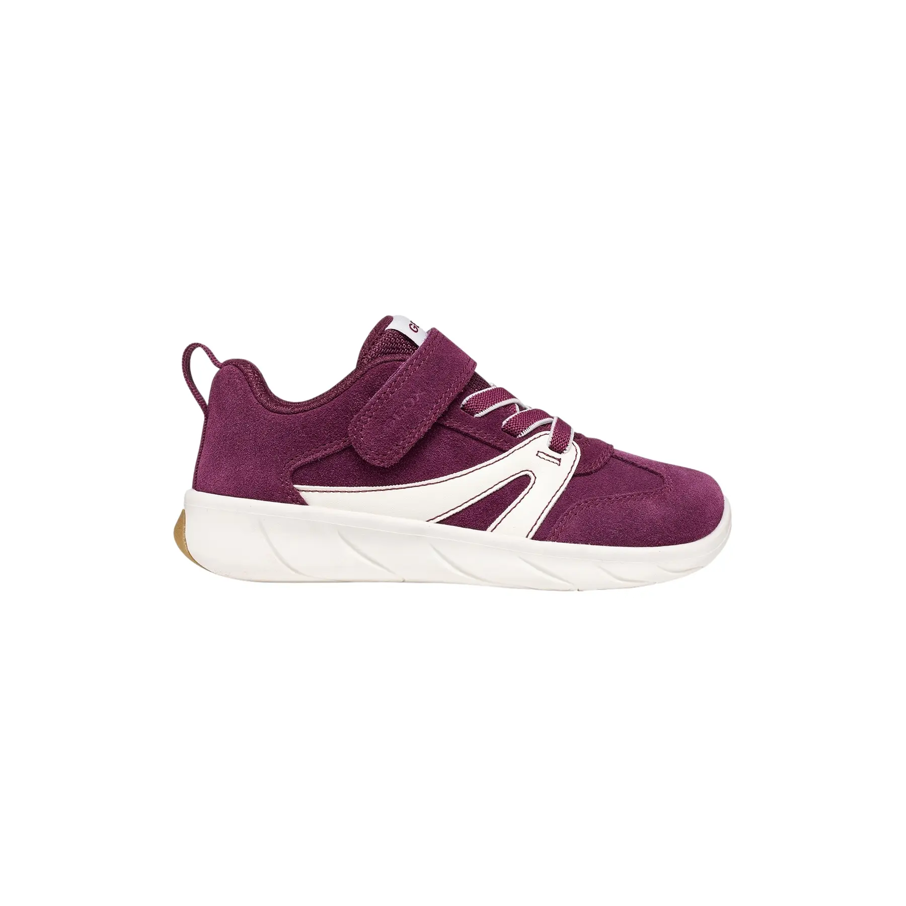 sportisgood504303