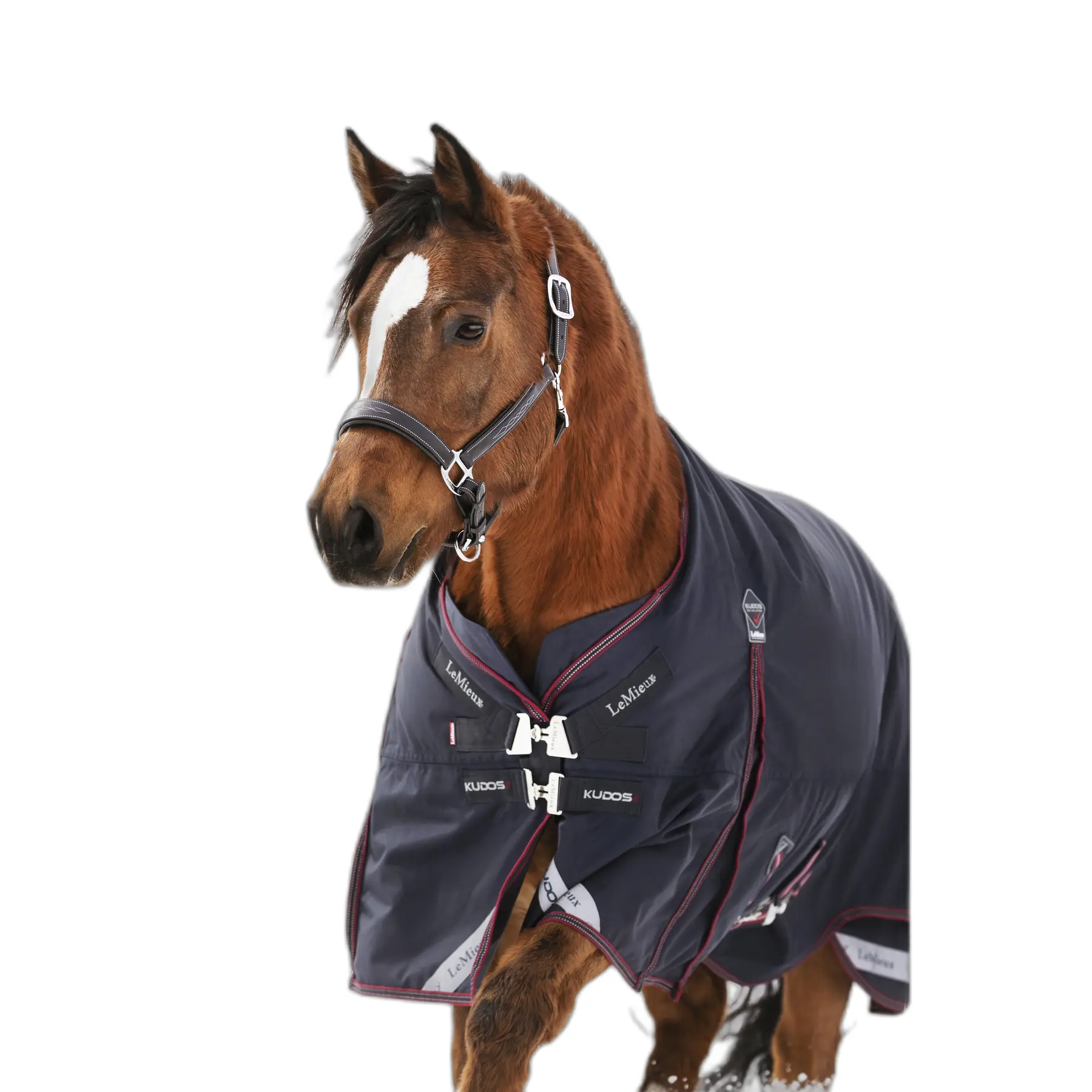 sportisgood586198
