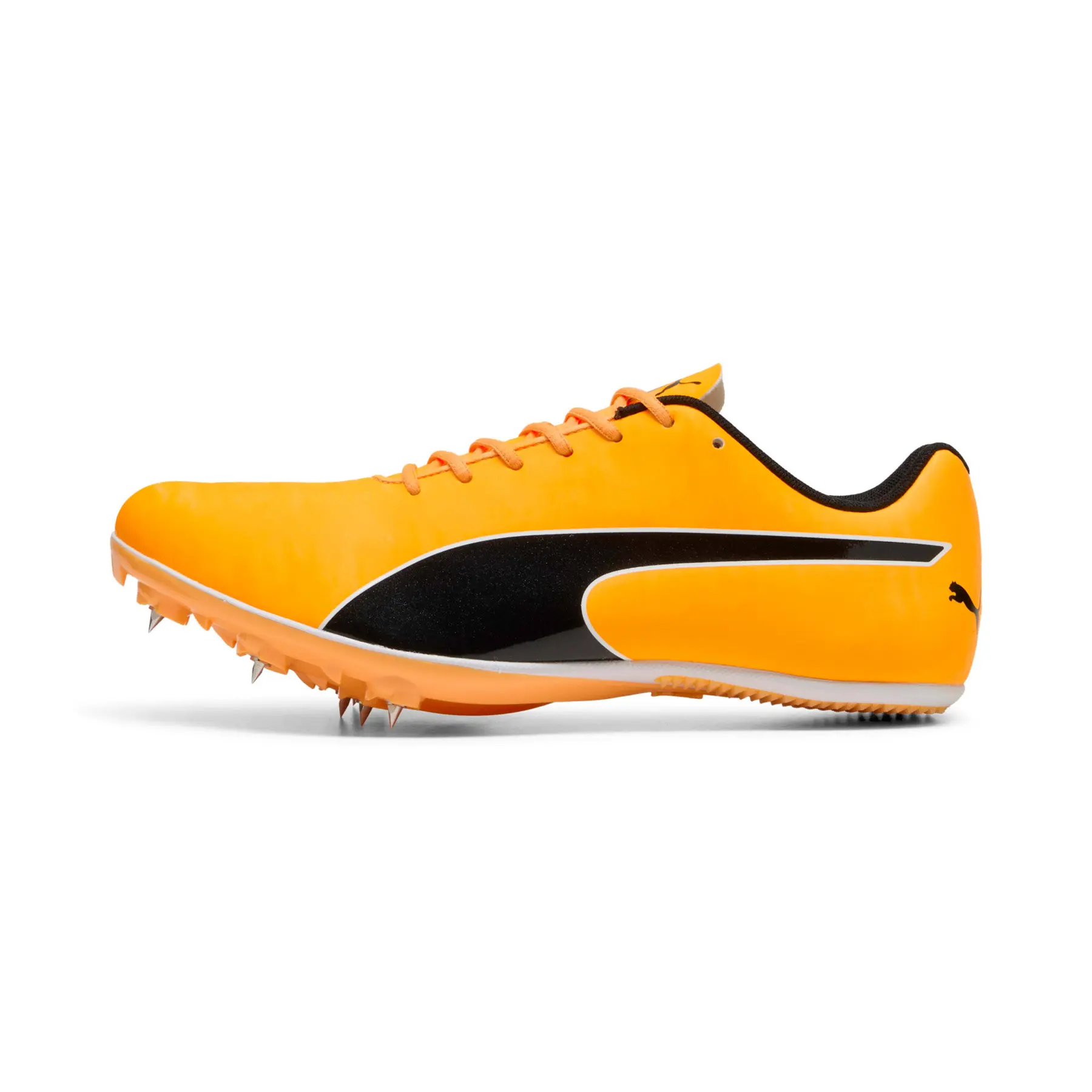 sportisgood593854