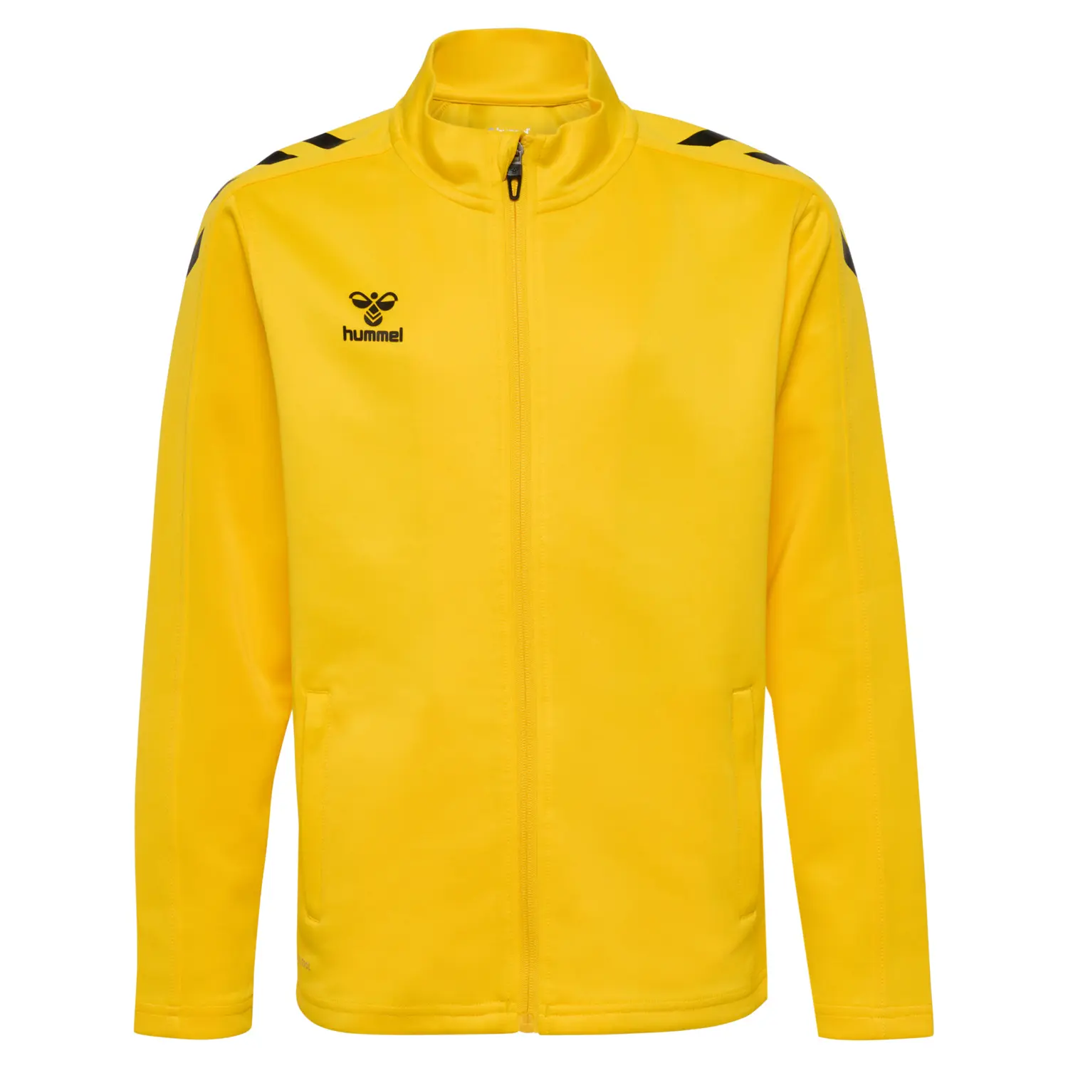 sportisgood622029
