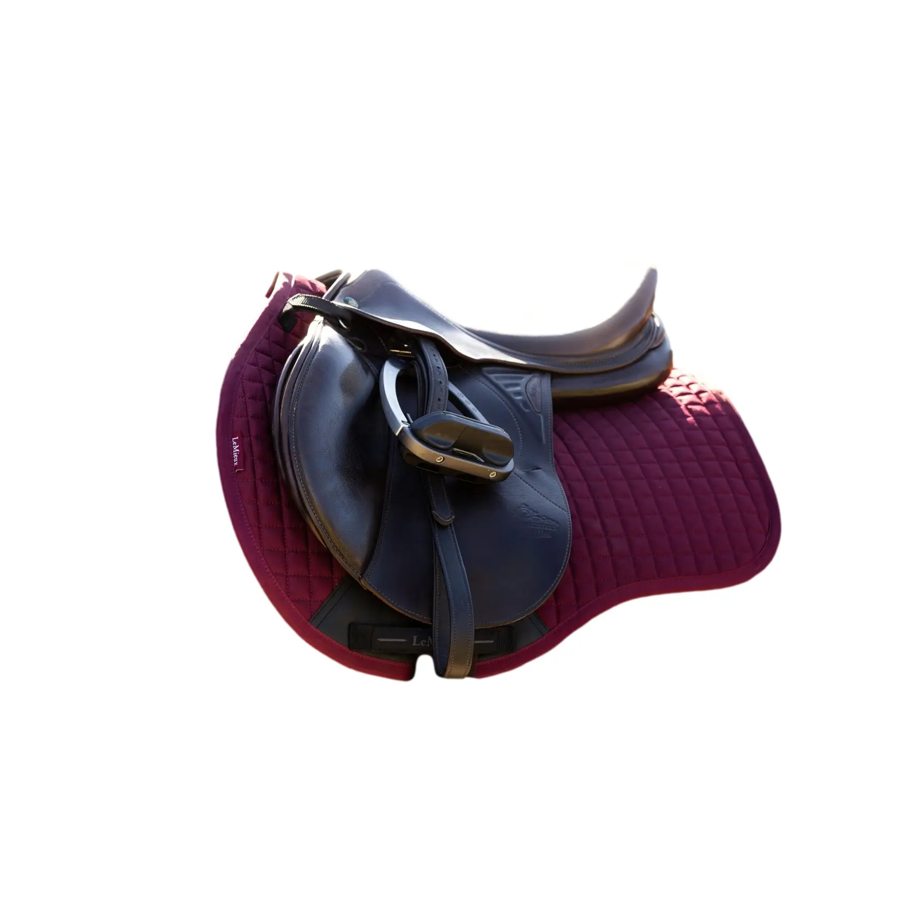 sportisgood691394