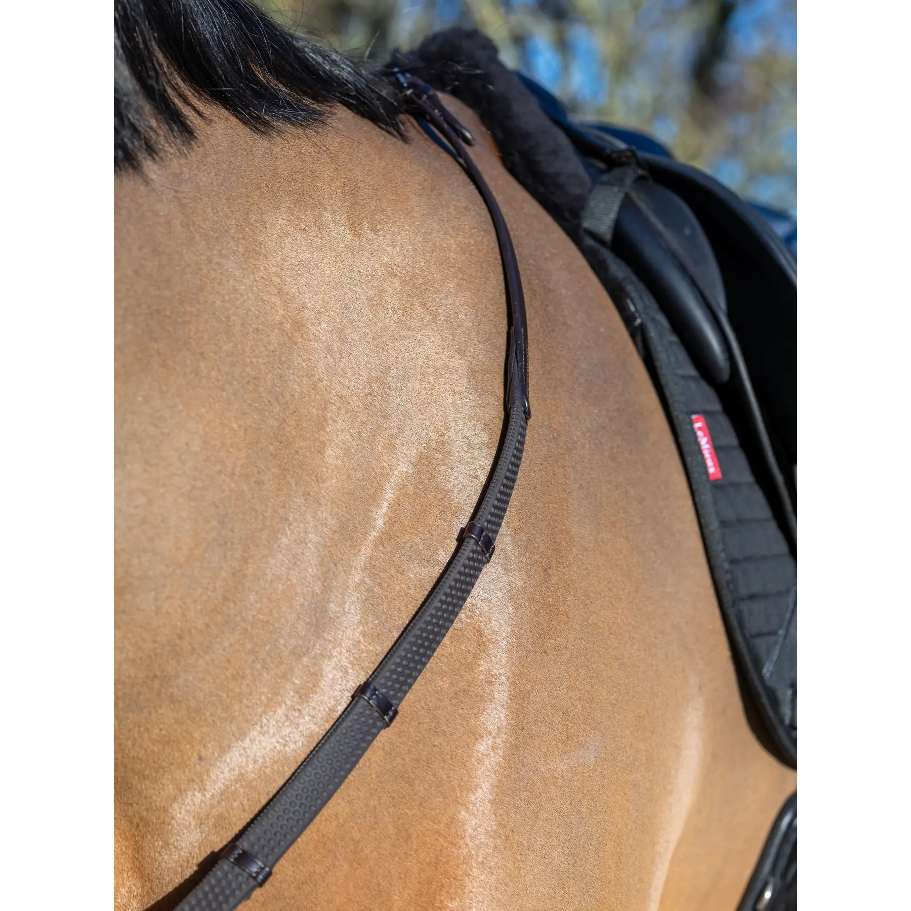 sportisgood706500