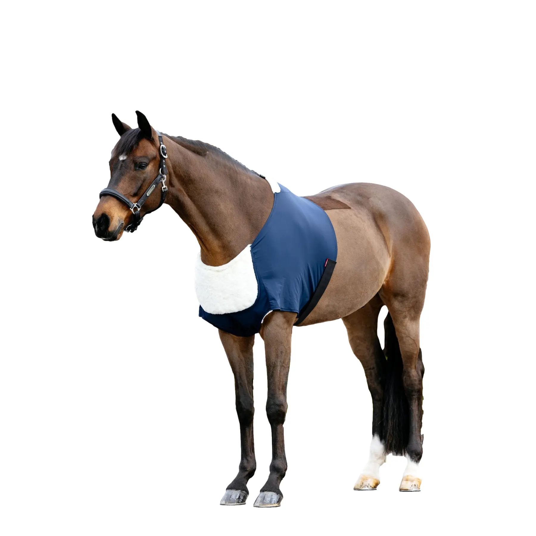 sportisgood732791
