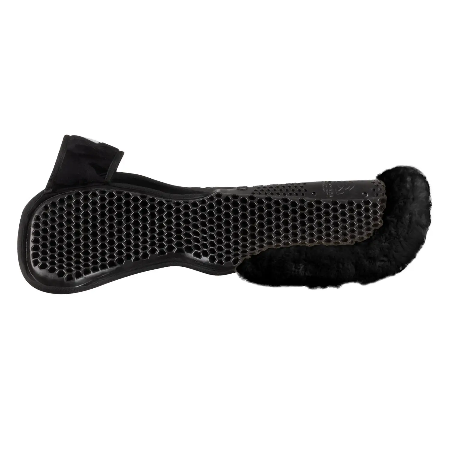 sportisgood851207