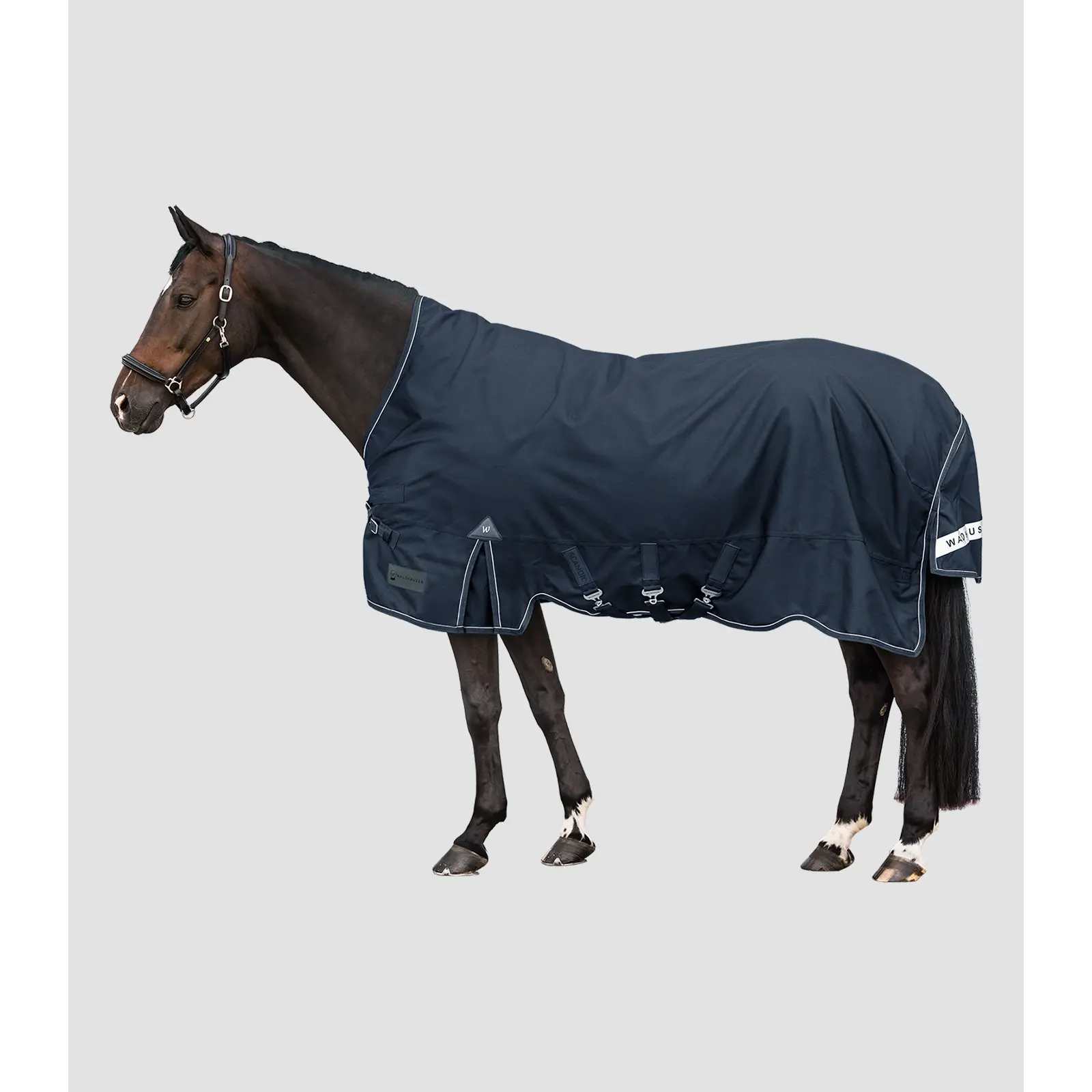 sportisgood902081
