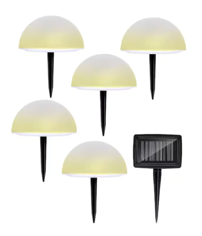 surfdeal446749