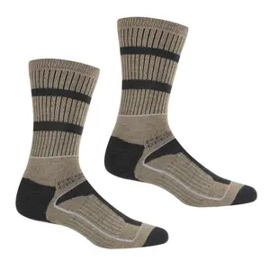 trek-expert-1766224