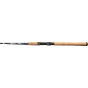 trek-expert446907